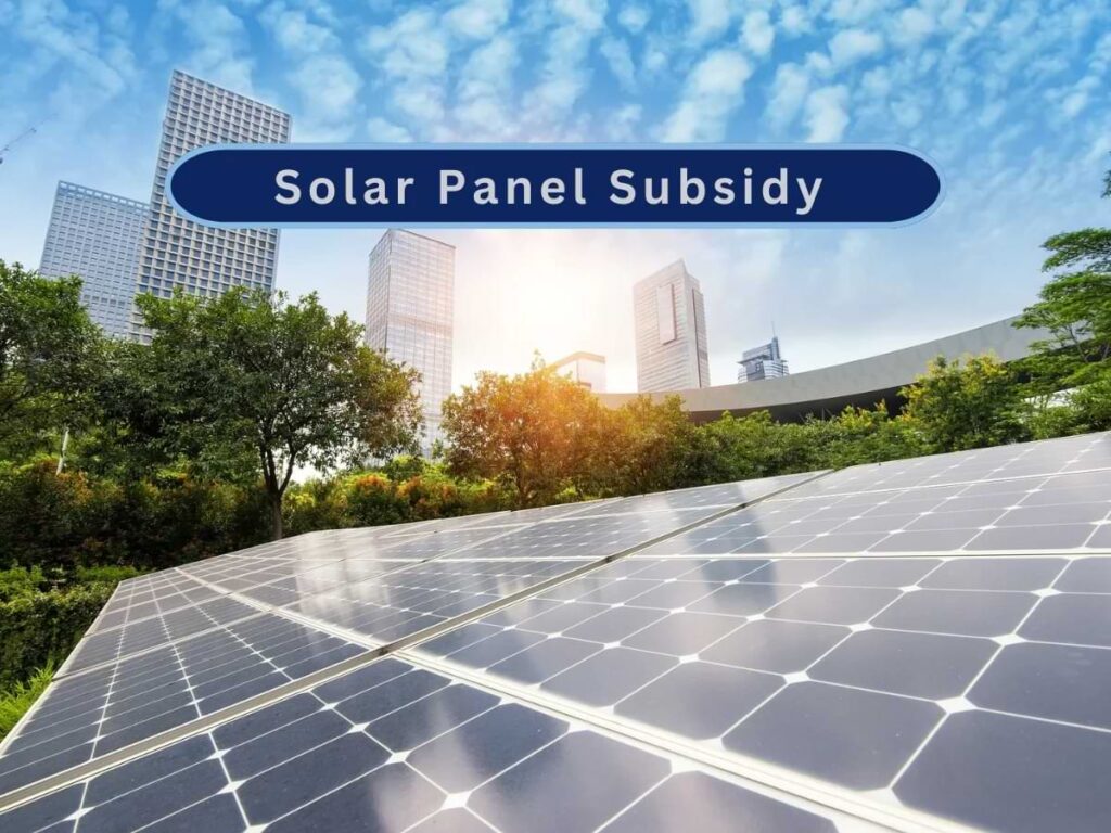 Solar Panel Subsidies