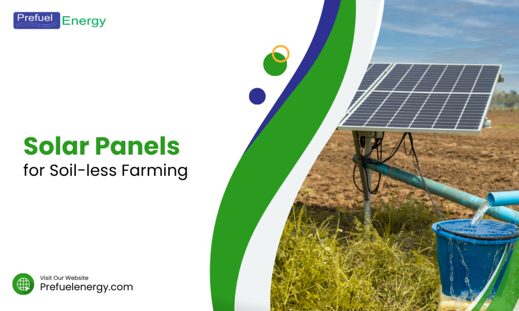 Solar Panels for Soil-less Farming